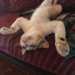 Meet your Posher, Anthony